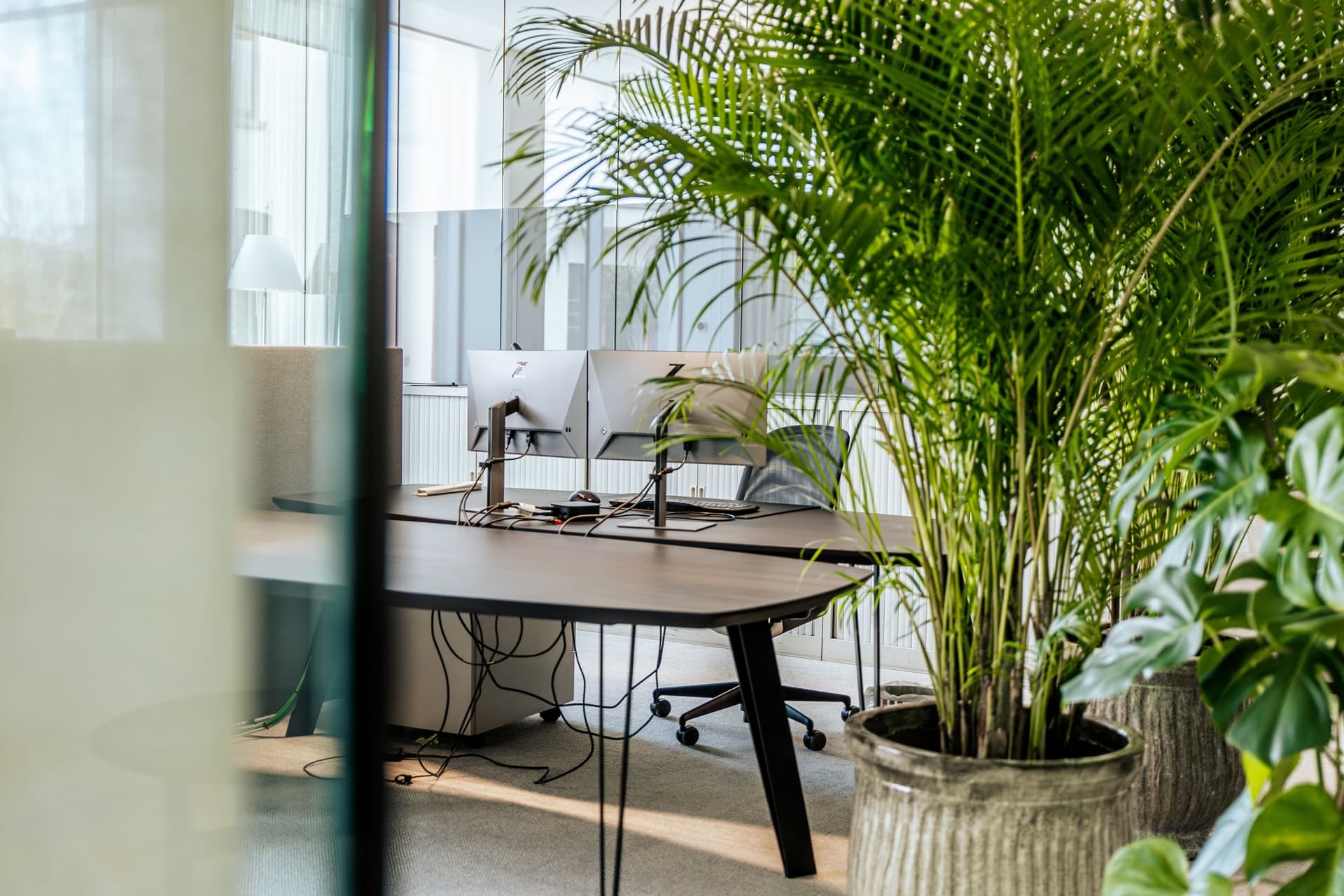 Real-estate interior shoot — office desk among palms